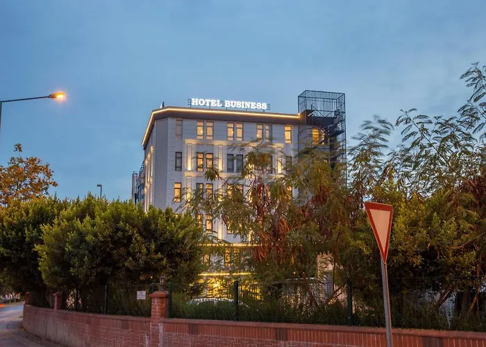 Business Hotel 4*